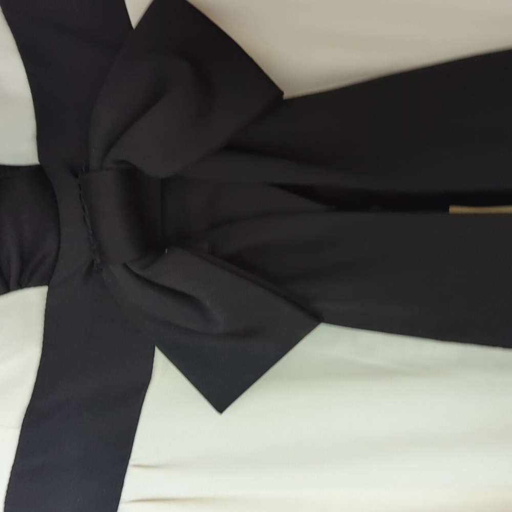 Stunning silk lined black and white dress - Picture 2 of 6